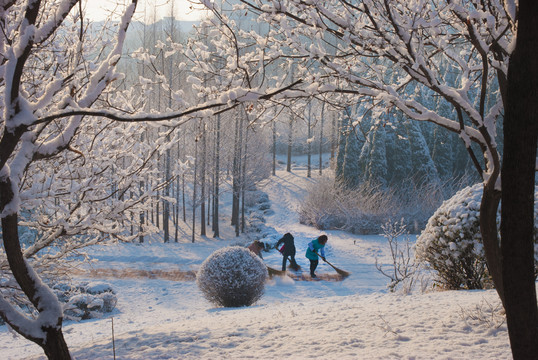 北方冬日美丽的雪后风光