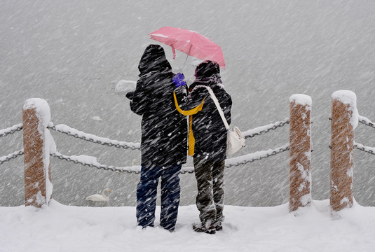 北方冬日美丽的雪后风光