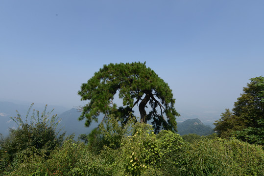 秦岭风光