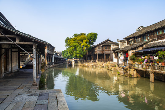 乌镇风景