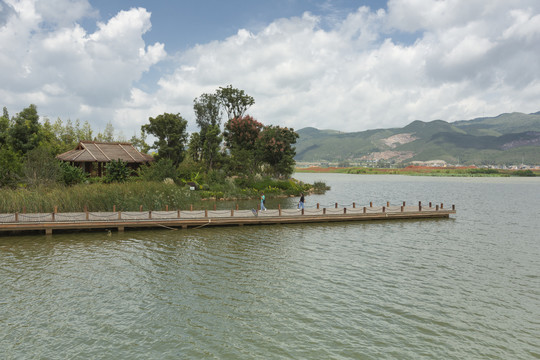 泸西黄草洲湿地公园景观