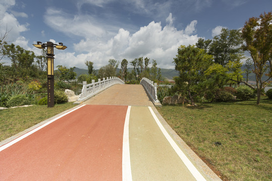 泸西黄草洲湿地公园的桥