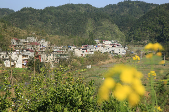 山村风光