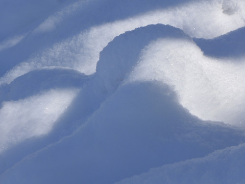 雪地