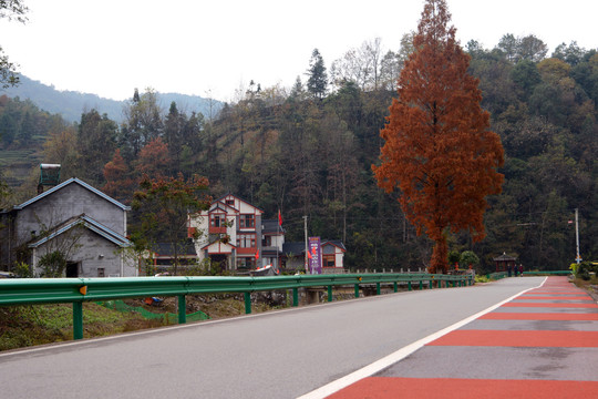 乡村秋景