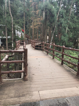 生态木桥板及栏杆