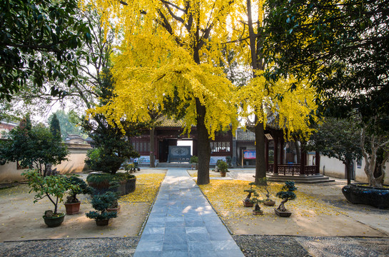 襄阳米公祠