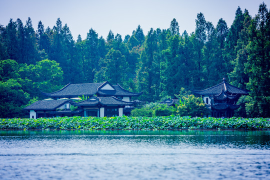 西湖风景