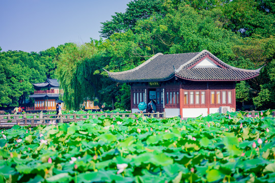 西湖风景