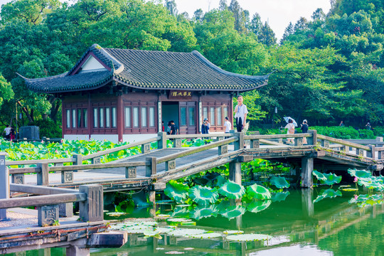 西湖风景