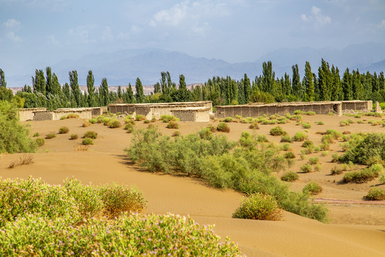 新疆鄯善库木塔格沙漠