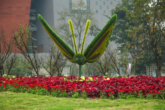 植物雕塑