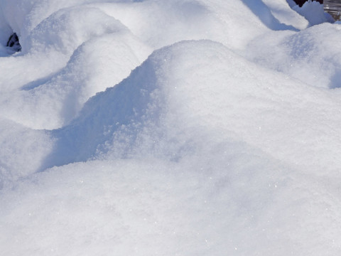 雪地