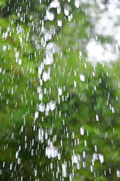 雨水