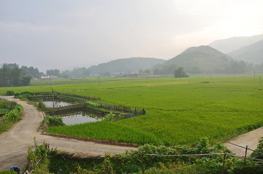 山区农村