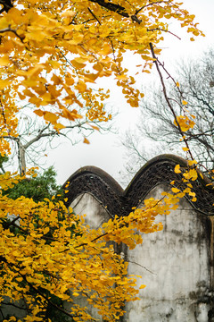 古建筑与秋色