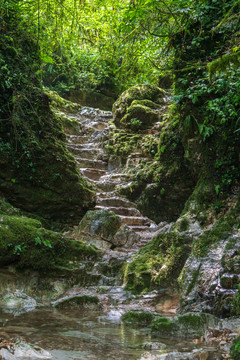 山间小路石阶