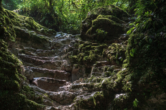 山间小路石阶