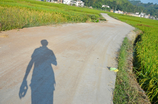 乡村道路