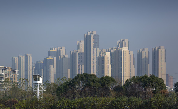 高楼丛林