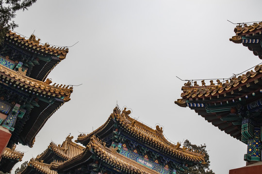 北京孔庙碑亭斗拱