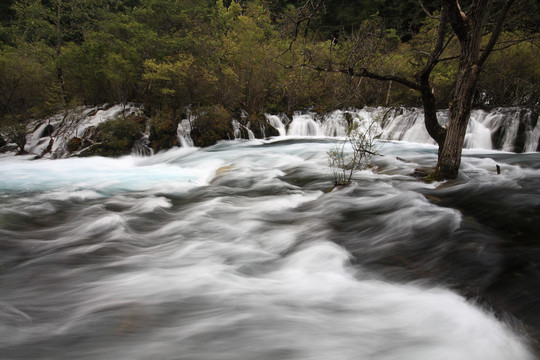 四川阿坝九寨沟风光