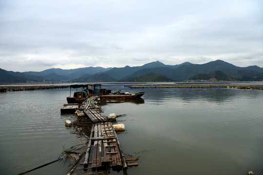 福建霞浦水产养殖场的船只
