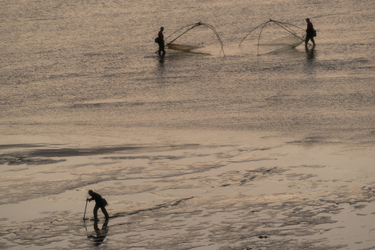 海岸边劳作的渔民