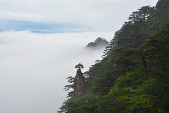 黄山云海