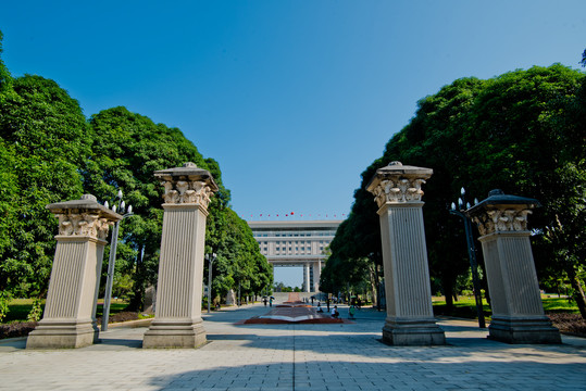 广西大学