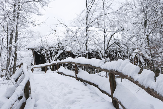 积雪小桥