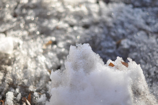 雪