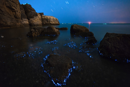 小黑石荧光海