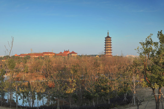 扬州三湾湿地公园