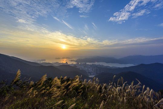 深圳盐田港