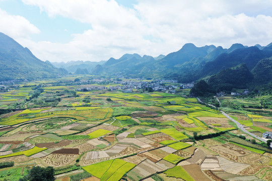 田园风光