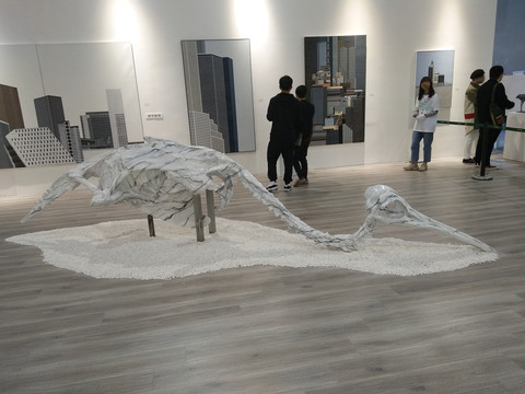 鸟骨架