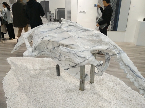 鸟骨架