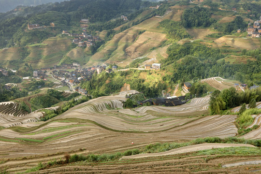 龙脊梯田