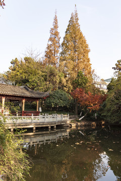 池塘秋景