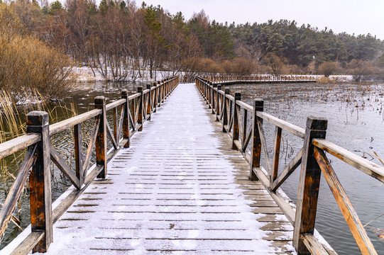 雪中的长春净月潭国家森林公园