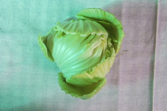 芥菜