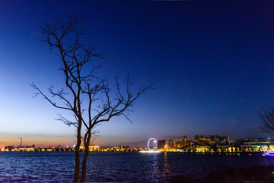 傍晚湖边的树与灯光