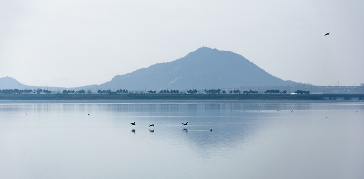 湖光山色与水鸟