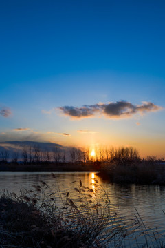 黄昏时河边的夕阳与芦苇