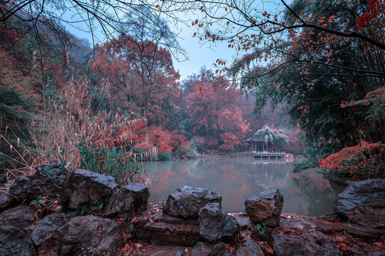 雨中的南京栖霞山秋景