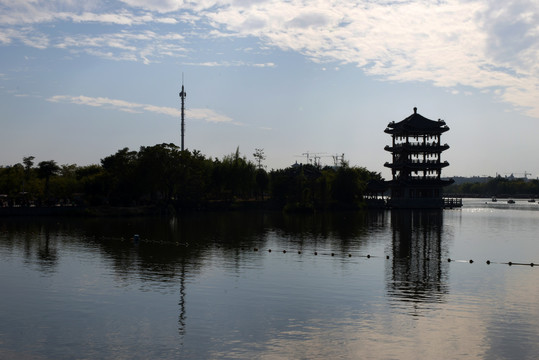 湿地公园