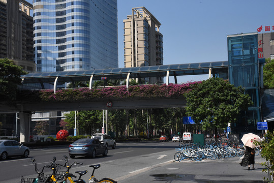 公路