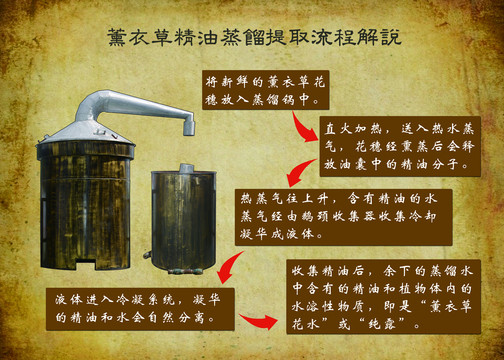 精油蒸馏提取流程解说系统