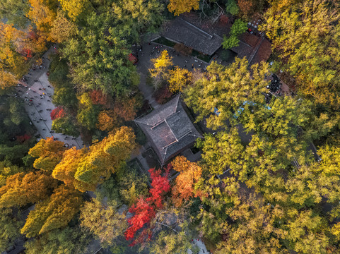 江苏省南京市栖霞山秋天景色